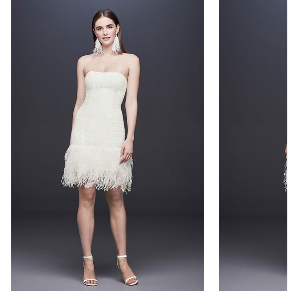 DB Studio Strapless Sequin-Lace Feather Ftess